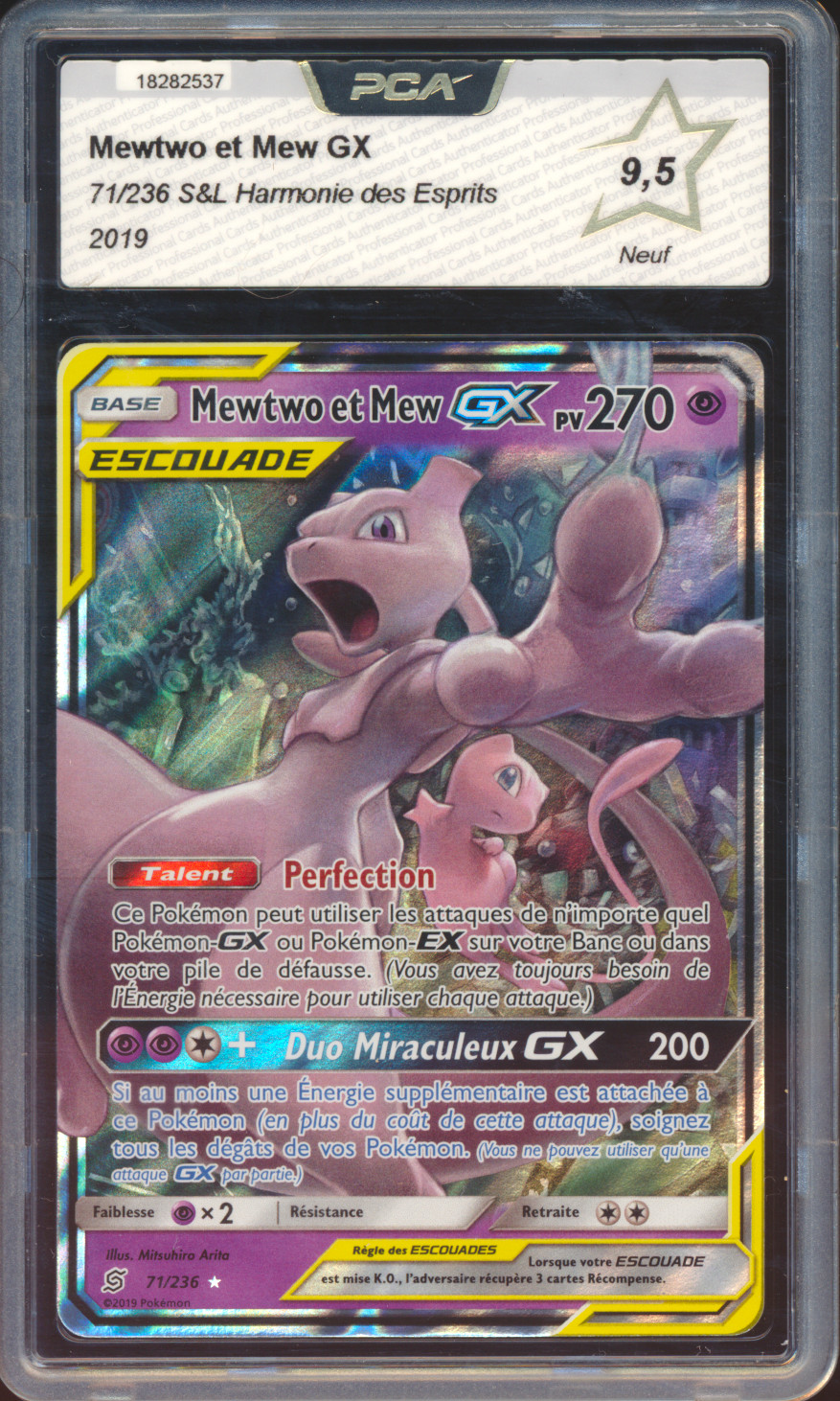 Mewtwo & Mew