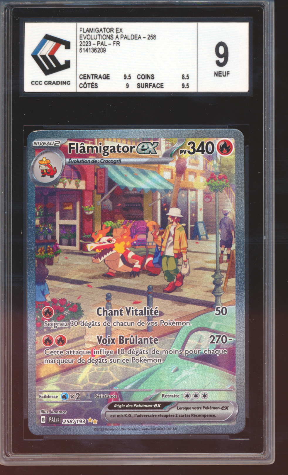 Flâmigator ex