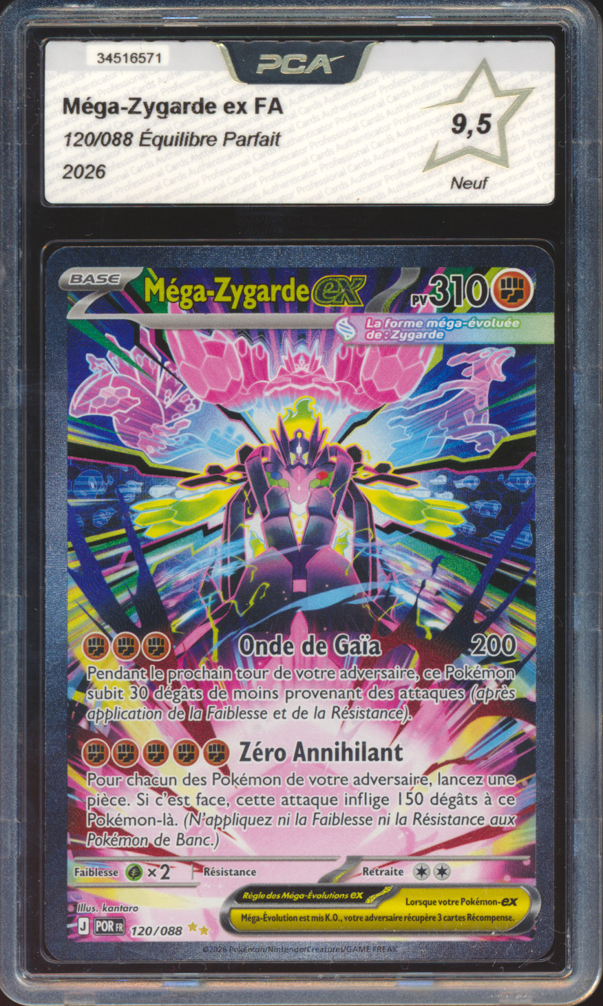 Méga-Zygarde ex